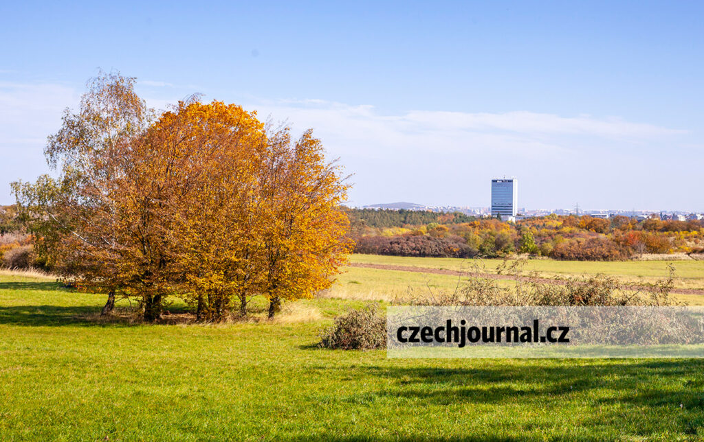  Divoká Šárka in the fall