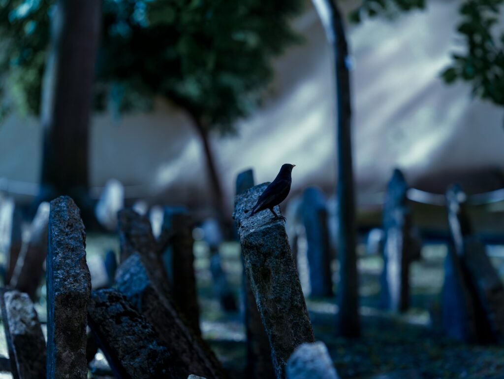 Old Jewish Cemetery, Prague