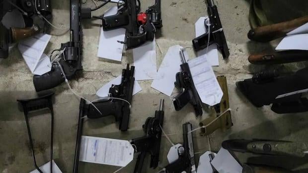 Canadian Military Personnel Face Charges Over Alleged Militia Plot