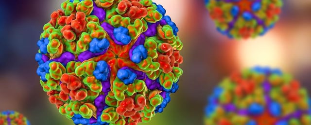Chikungunya Virus Surge Raises Global Public Health Concerns