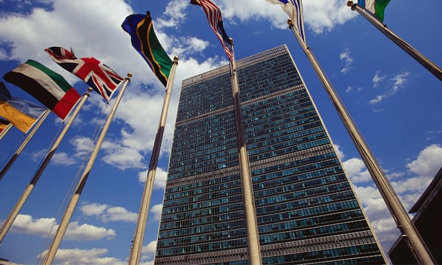 UN Draft Report Sparks Debate on Gender Dysphoria's Social Impact