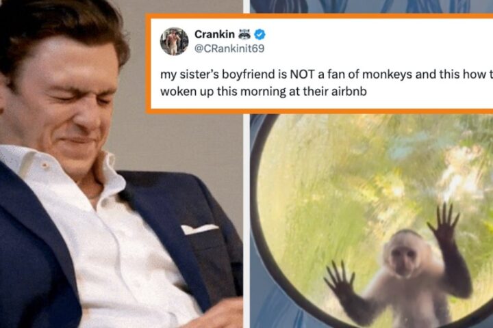 Epic 2025 Internet Blunders That Had Everyone Laughing Out Loud