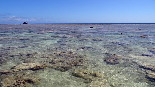 France Enhances Ocean Conservation with New Marine Protection Initiative