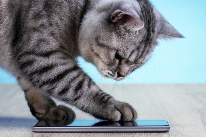 Smartphone Buyers Face Challenges as Memory Prices Climb