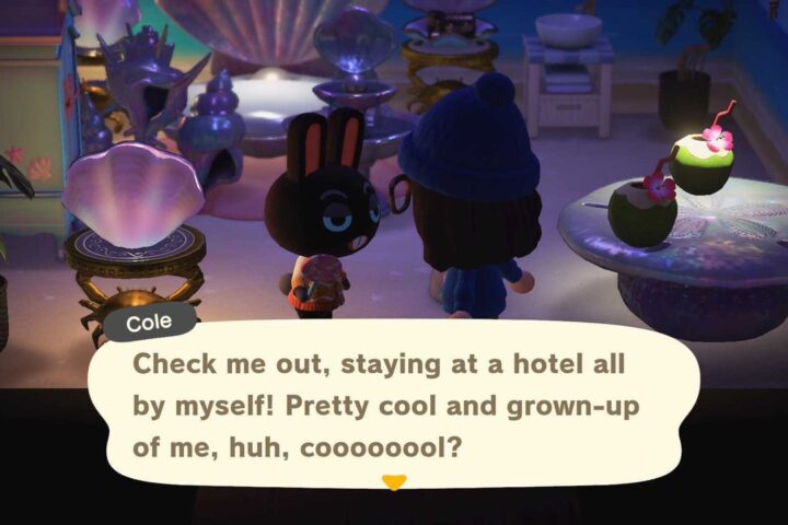 Animal Crossing Players Disappointed Over Hotel Guests Limitations
