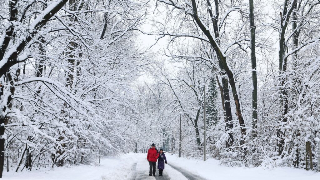 Embrace the Cold: Benefits of Winter Outdoor Activities
