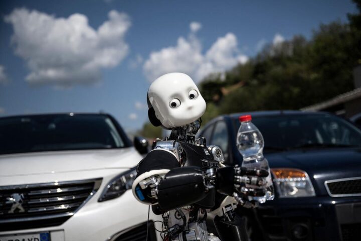 Exploring Human Identity by Constructing Robots for Insight