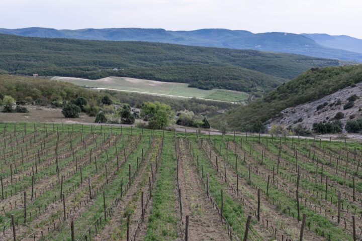 Moravian Wine Region: The Complete Visitor Guide