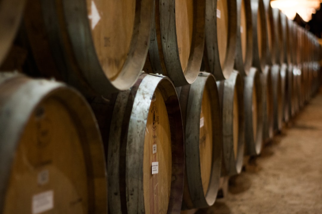 Moravian Wine Region: The Complete Visitor Guide — detail