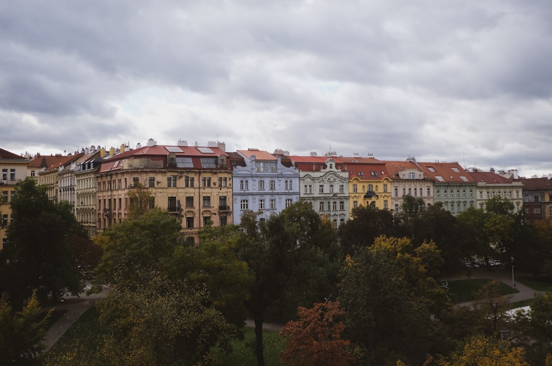 Prague in autumn — foliage in the city parks
