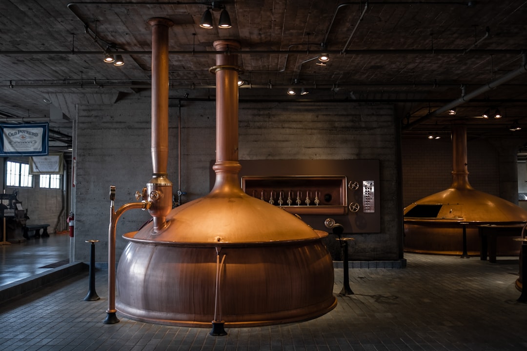 Brewery tour — copper brewing vessels