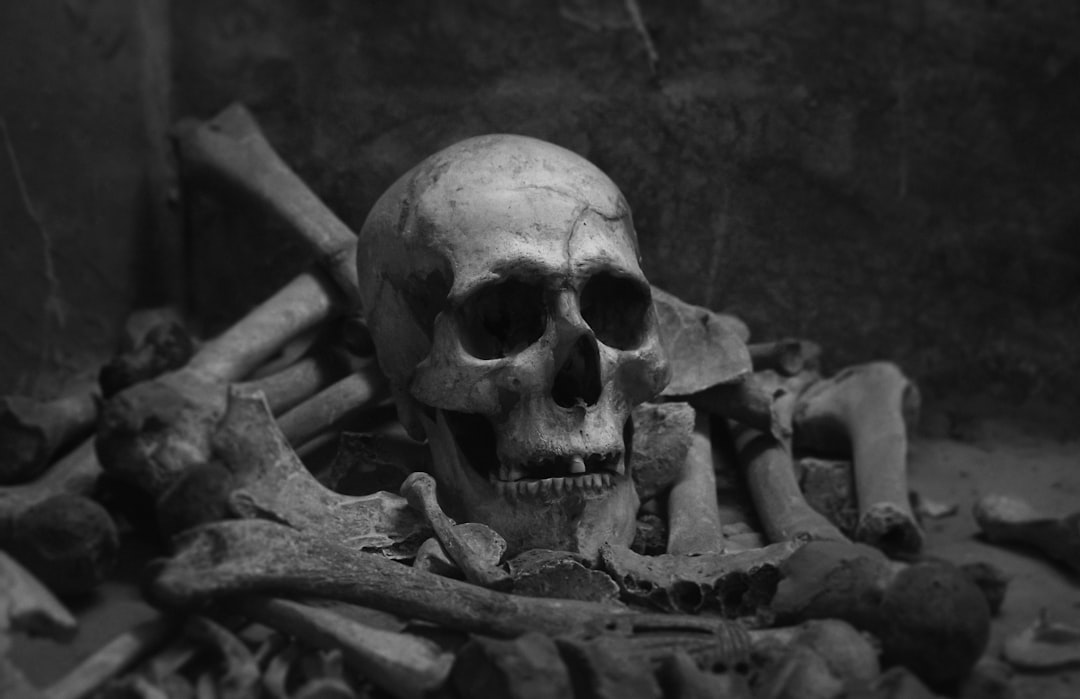 Day Trips From Prague — kutna hora ossuary skull
